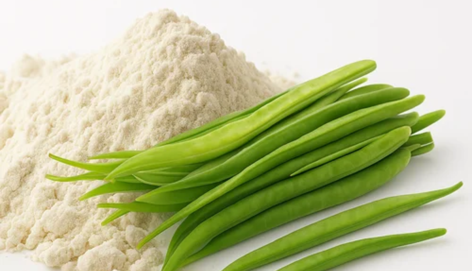 Guar Gum Powder Export